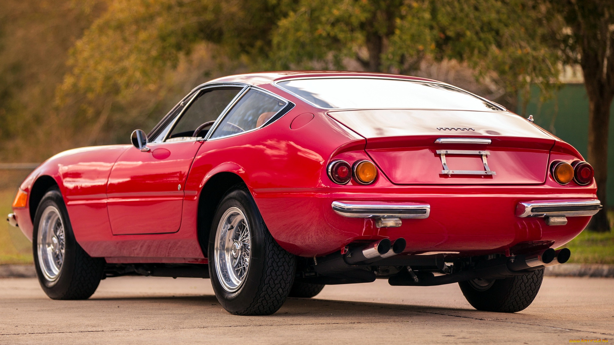 ferrari, 365, , , 